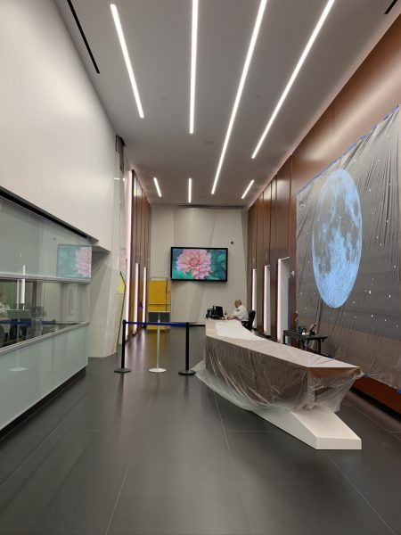Video Wall At The Trailer Park Lobby