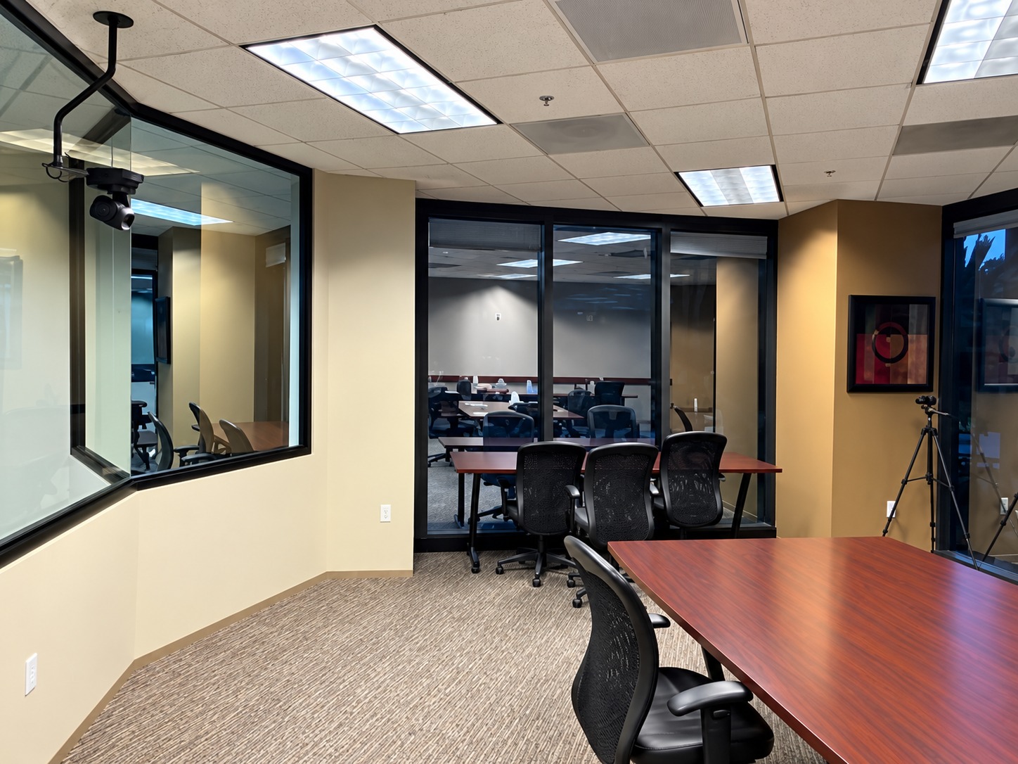 Fieldwork Irvine focus group facility with observation windows and ceiling-mounted camera
