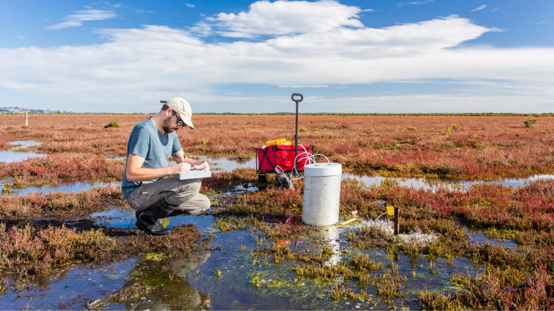 wonkhe-fieldwork-science-1140x641
